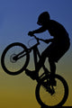 Extreme Bike Rider Wall Decal