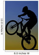 Extreme Bike Rider Wall Decal