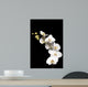 White Orchid Black Wall Decal