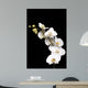 White Orchid Black Wall Decal