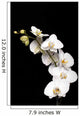 White Orchid Black Wall Decal