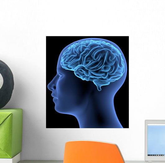 Human Body Brain Wall Decal