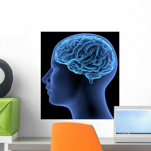 Human Body Brain Wall Decal