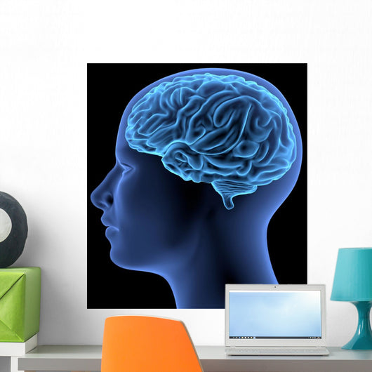 Human Body Brain Wall Decal