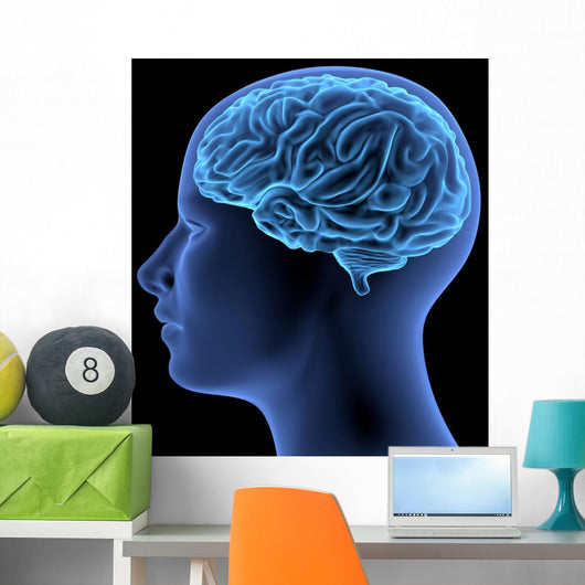 Human Body Brain Wall Decal