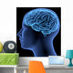 Human Body Brain Wall Decal