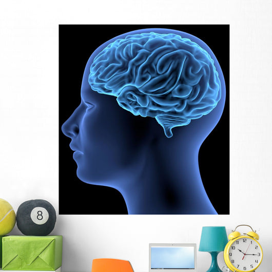 Human Body Brain Wall Decal