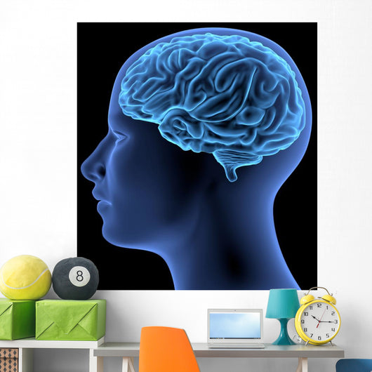 Human Body Brain Wall Decal