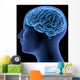 Human Body Brain Wall Decal