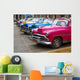 Piquera Wall Decal