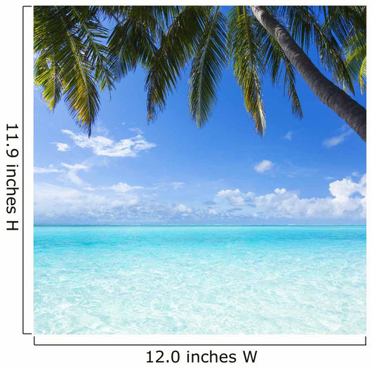 Ocean Palm Paradise Wall Decal