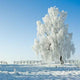 Cold Winter Day Wall Decal