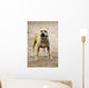 American Pitbull American Staffordshire Wall Decal