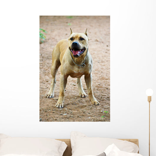 American Pitbull American Staffordshire Wall Decal