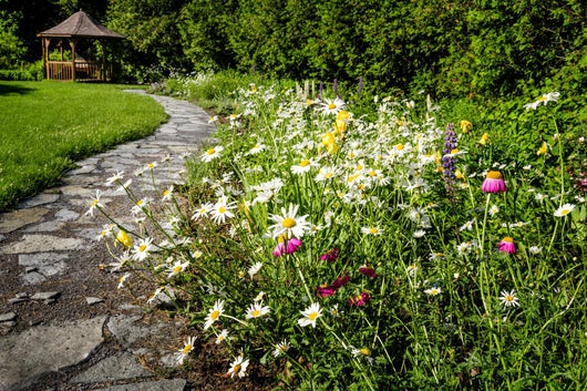 Wildflower Garden and Path Wall Decal