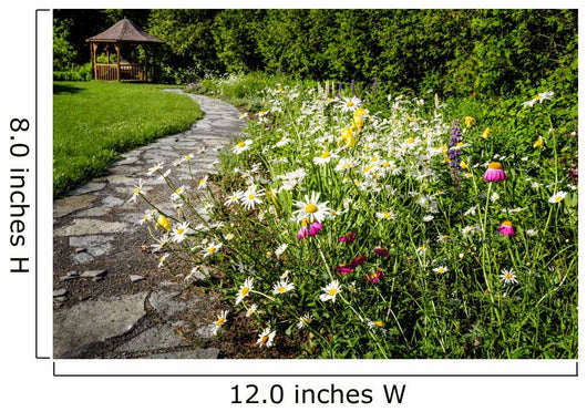 Wildflower Garden and Path Wall Decal