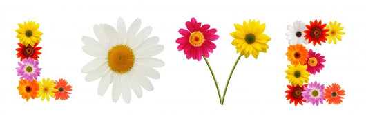Colorful Daisies Word Love Wall Decal