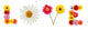 Colorful Daisies Word Love Wall Decal