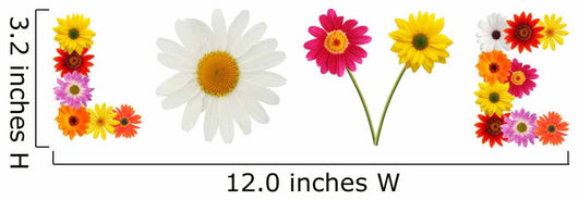 Colorful Daisies Word Love Wall Decal