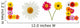 Colorful Daisies Word Love Wall Decal