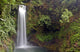 Costa Rica Waterfall Wall Decal