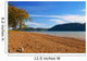 Dale Hollow Lake Wall Decal