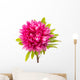Pink Aster Wall Decal
