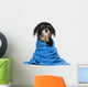 Wet Havanese Puppy Dog Wall Decal