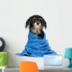 Wet Havanese Puppy Dog Wall Decal
