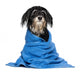 Wet Havanese Puppy Dog Wall Decal