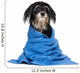 Wet Havanese Puppy Dog Wall Decal
