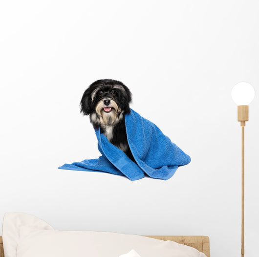 Havanese Puppy Dog Wall Decal