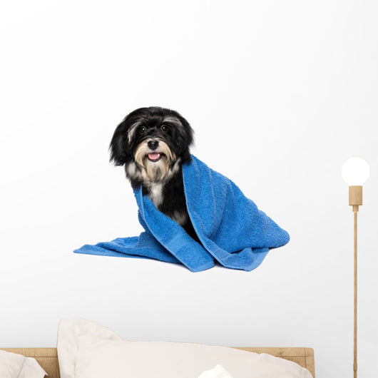 Havanese Puppy Dog Wall Decal