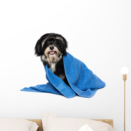 Havanese Puppy Dog Wall Decal