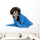 Havanese Puppy Dog Wall Decal