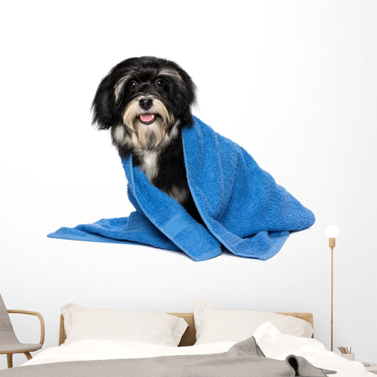 Havanese Puppy Dog Wall Decal