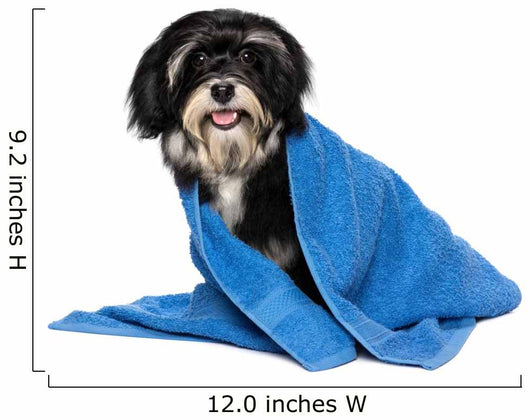 Havanese Puppy Dog Wall Decal