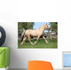 Beautiful Palomino Mare Wunning Wall Decal