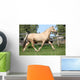 Beautiful Palomino Mare Wunning Wall Decal