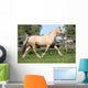 Beautiful Palomino Mare Wunning Wall Decal