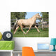 Beautiful Palomino Mare Wunning Wall Decal