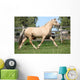 Beautiful Palomino Mare Wunning Wall Decal