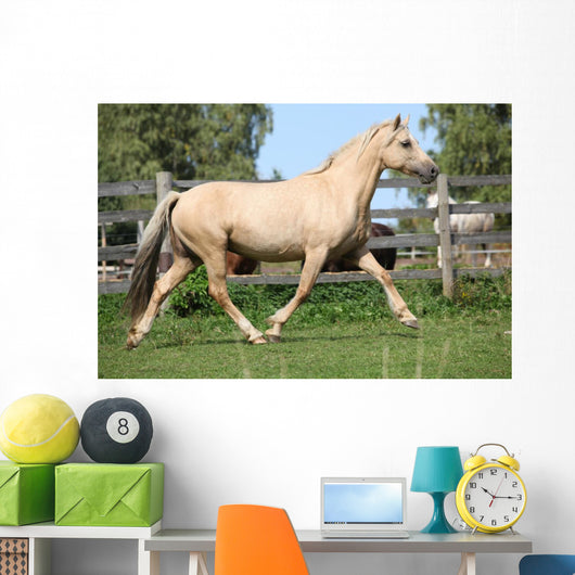 Beautiful Palomino Mare Wunning Wall Decal