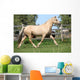 Beautiful Palomino Mare Wunning Wall Decal