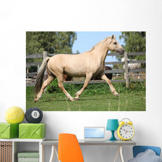 Beautiful Palomino Mare Wunning Wall Decal