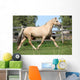 Beautiful Palomino Mare Wunning Wall Decal