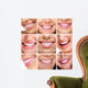 Teeth Collage People Smiles Wall Decal