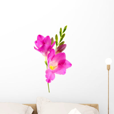 Beautiful Freesia Flower Wall Decal shown on a wall