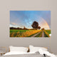 Rainbow over Field Road Wall Decal