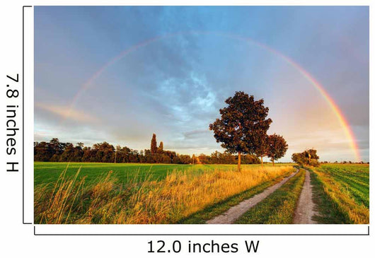 Rainbow over Field Road Wall Decal
